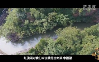 什么样的眼睛片好，什么样的眼睛片好用又实惠