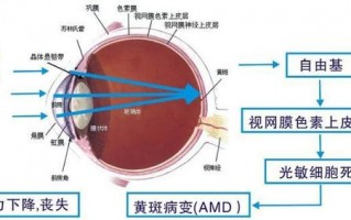 眼睛度数怎么测，眼睛度数怎么测得最准